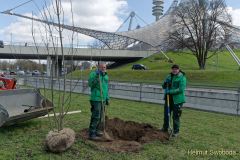 500.000 Baeume in 5_Jahren in München