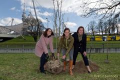 500.000 Baeume in 5_Jahren in München