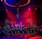 d170225-000501-400-100-faschingsball_der_damischen_ritter