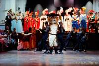 d190301-223959-900-100-faschingsball_der_damischen_ritter