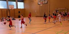 Basketball WM 2024/25: Vorstellung der Teams