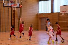 Basketball WM 2024/25: Vorstellung der Teams