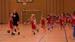 Basketball WM 2024/25: Vorstellung der Teams