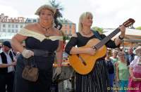 d140801-11344625-100-brunnenfest-viktualienmarkt