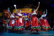 d180210-223148-460-100-carneval_in_rio-a-narrhalla_garde