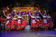 d180210-223153-840-100-carneval_in_rio-a-narrhalla_garde