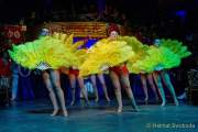 d180210-224756-750-100-carneval_in_rio-a-narrhalla_garde