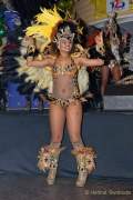 d180210-230012-590-100-carneval_in_rio