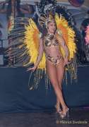 d180210-230014-560-100-carneval_in_rio