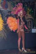 d180210-230017-950-100-carneval_in_rio