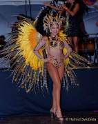 d180210-230132-440-100-carneval_in_rio