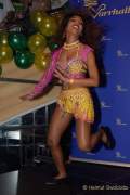 d180210-233306-540-100-carneval_in_rio