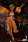 d180210-233714-230-100-carneval_in_rio