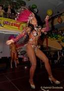 d180210-234131-950-100-carneval_in_rio