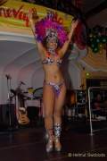 d180210-234151-480-100-carneval_in_rio