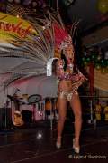 d180210-234350-290-100-carneval_in_rio