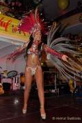 d180210-234412-090-100-carneval_in_rio