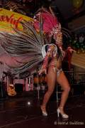 d180210-234452-990-100-carneval_in_rio