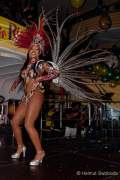 d180210-234520-290-100-carneval_in_rio