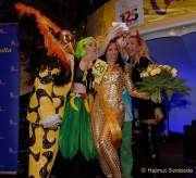 d180211-001439-480-100-carneval_in_rio