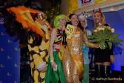 d180211-001445-380-100-carneval_in_rio