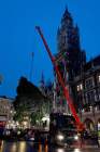 d191112-065127-360-100-christbaum_fuer_muenchen