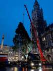 d191112-065251-170-100-christbaum_fuer_muenchen