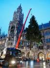 d191112-065512-520-100-christbaum_fuer_muenchen