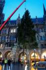 d191112-065554-630-100-christbaum_fuer_muenchen