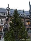 d191112-080315-140-100-christbaum_fuer_muenchen