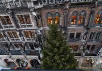 d191112-080425-680-100-christbaum_fuer_muenchen