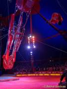 d150402-21402200-100-cirkus_krone-evolution