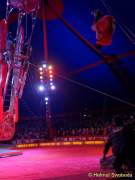 d150402-21402210-100-cirkus_krone-evolution