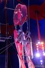 d150402-21350770-100-cirkus_krone-evolution