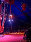 d150402-21402210-100-cirkus_krone-evolution