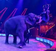 d191225-211423-120-100-circus_krone-hereinspaziert-manege_frei-premiere