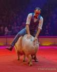 d191225-184506-510-100-circus_krone-hereinspaziert-manege_frei-premiere