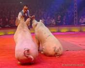 d191225-184541-150-100-circus_krone-hereinspaziert-manege_frei-premiere