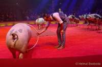 d191225-184643-130-100-circus_krone-hereinspaziert-manege_frei-premiere