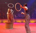 d191225-184823-040-100-circus_krone-hereinspaziert-manege_frei-premiere