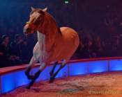 d191225-193134-240-100-circus_krone-hereinspaziert-manege_frei-premiere