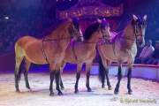 Circus Krone Winterprogramm 2022/23  - Stars in der Manege