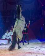 Circus Krone Winterprogramm 2022/23  - Stars in der Manege