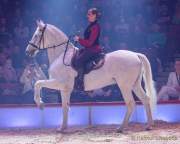 Circus Krone Winterprogramm 2022/23  - Stars in der Manege