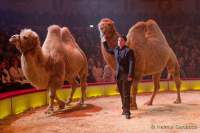 Circus Krone Winterprogramm 2022/23  - Stars in der Manege