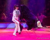 Circus Krone Winterprogramm 2022/23  - Stars in der Manege