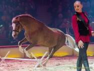 Circus Krone Winterprogramm 2022/23  - Stars in der Manege