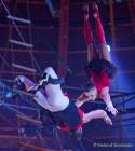 Circus Krone Winterprogramm 2022/23  - Stars in der Manege