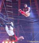 Circus Krone Winterprogramm 2022/23  - Stars in der Manege