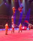 Circus Krone Winterprogramm 2022/23  - Stars in der Manege